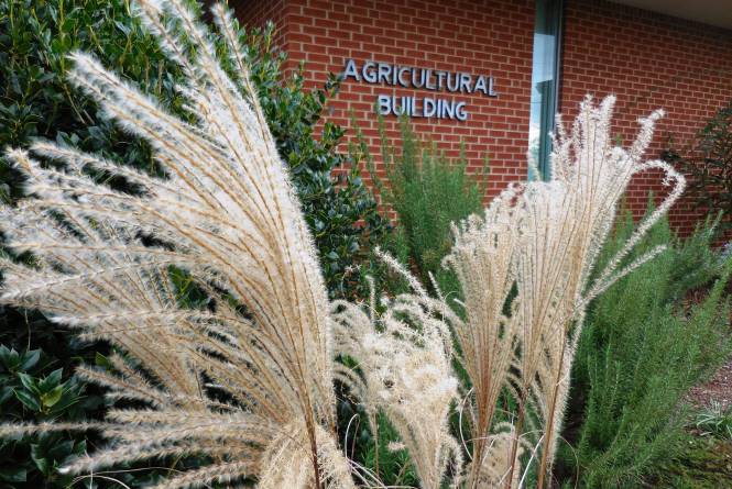 Ag Building