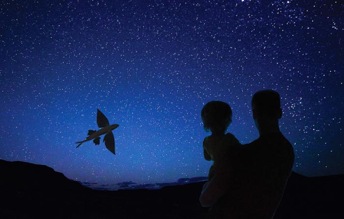 Father and child watch a flying fish against a starry ski near Catalina Island
