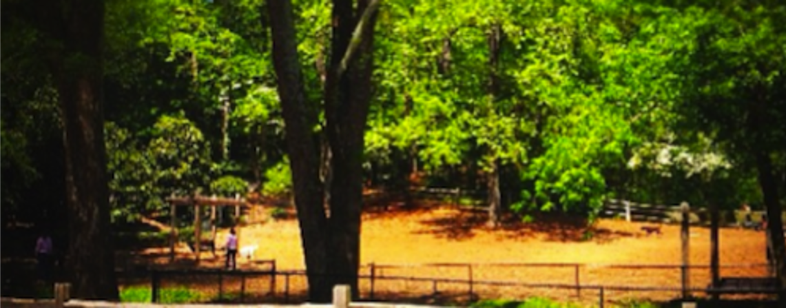 City of Greenville Parks and Recreation