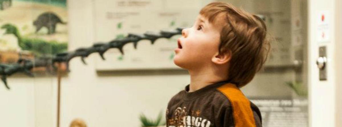 Museum of Natural History at UWSP