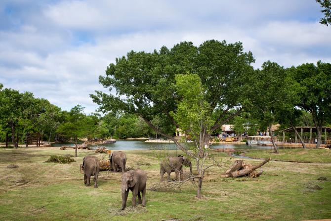 Sedgwick County Zoo