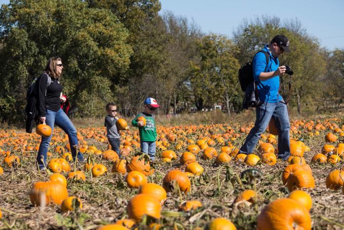 Spooky Halloween Events And Family Friendly Fun In Wichita 2019