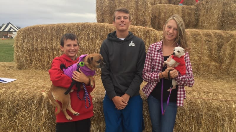Copy of Dog Daze at the Maze.