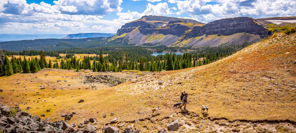 Top Ten Summer Activities in Steamboat Springs: Backpacking