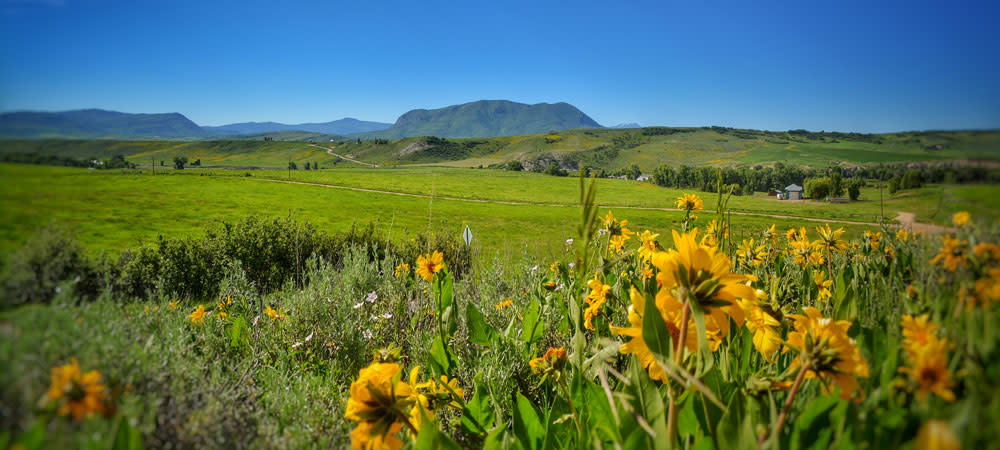 Scenic car ride views outside Steamboat Springs, Colorado
