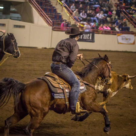 pennsylvania-farm-show-rodeo