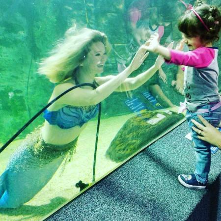 A little girl in a pink shirt reaching her hands up to a Newport Aquarium wall to match the hands of a mermaid swimming in the water