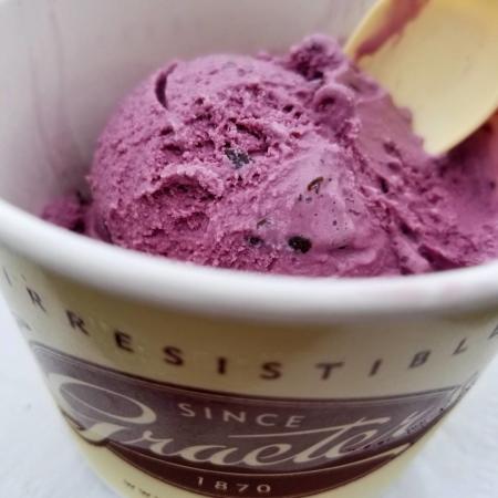 cup of graeter's raspberry chocolate chip ice cream cincinnati ohio