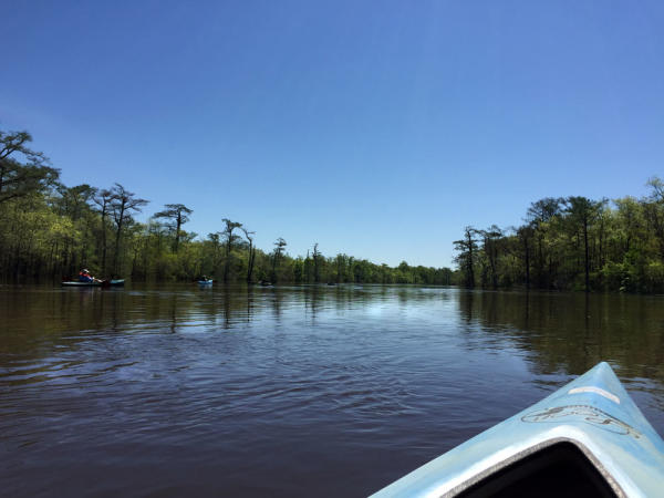 Paddling the Neches River