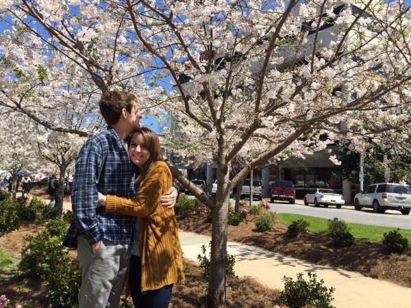 Cherry Blossom