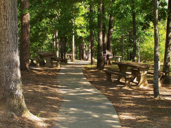 DeSoto State Park & Lodge Picnic