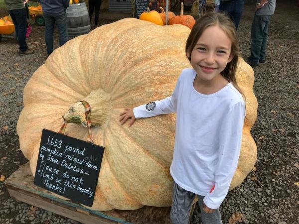 Best Pumpkin Patch