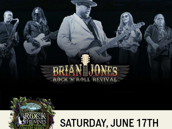 Brian Jones Rock N Roll Revival at Doffo Winery's Rock the Vines Concert Series