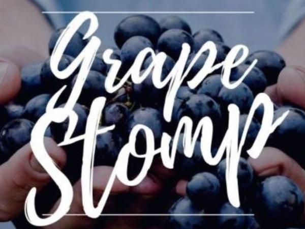 Somerset's Fourth Annual Grape Stomp