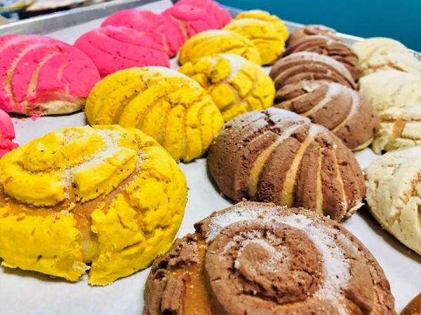 Concha pasteries at Marquez Bakery