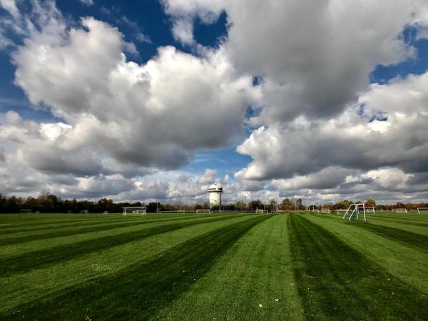 Avery Park Fields