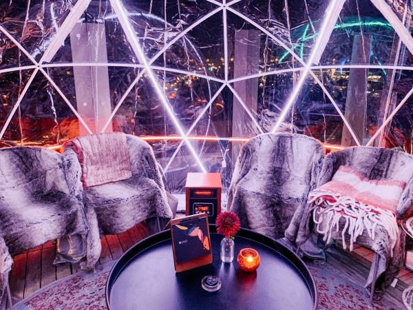 VASO Igloos Interior