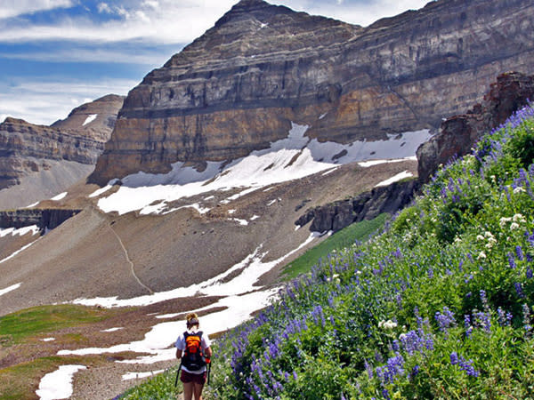 Hiking Mount Timpanogos