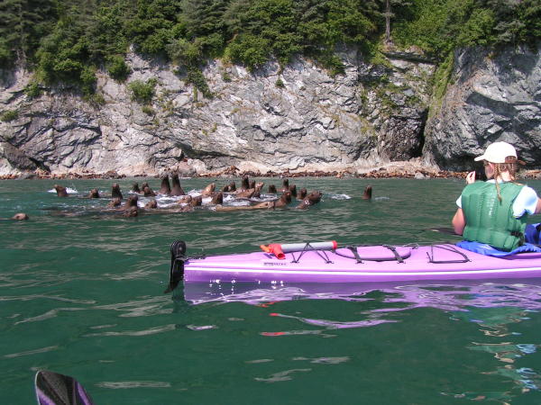 Woman in kayak observes seals in Prince William Sound