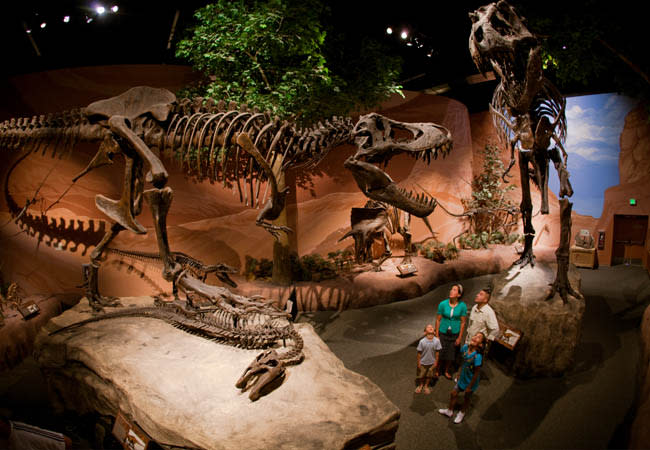 5 Secrets of Thanksgiving Point that Will Make You Want to Visit ASAP - Dinosaur Museum