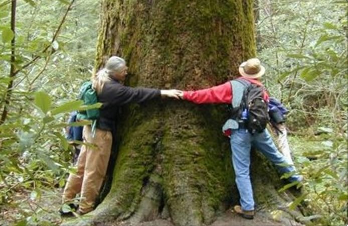 People Hugging a Tree