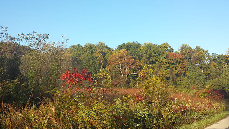 Back Roads Fall