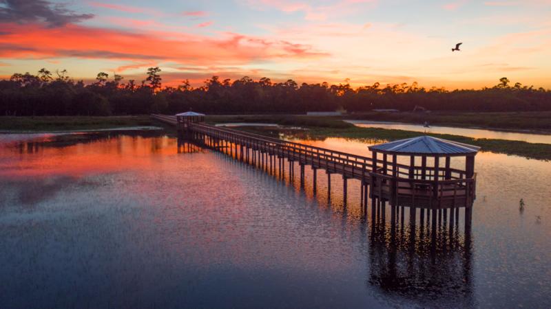 Cattail Marsh Scenic Wetlands Boardwalk