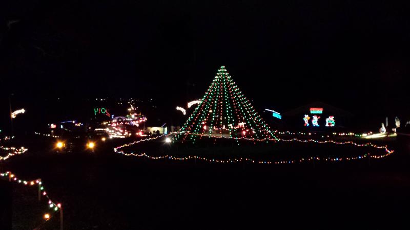 The Festival of Lights will be on display at Jimmy Nash City Park in Martinsville beginning November 28.