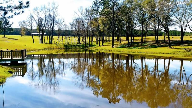 Loblolly Farm