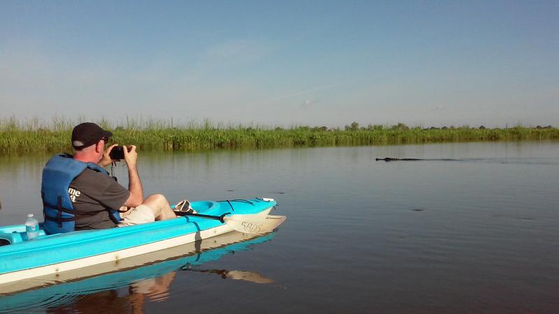 Wild Native Tours Canoe and Kayak - Kayak and Big Gator
