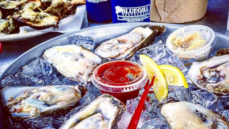 Chillin' Oysters