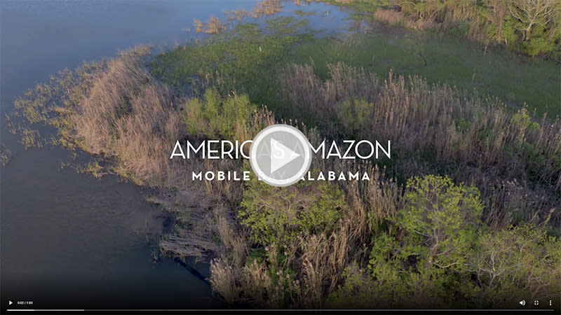 America's Amazon with play