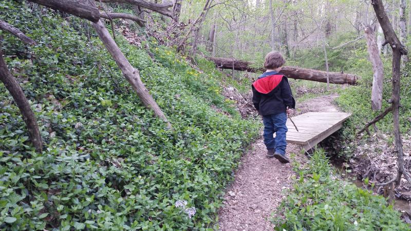 The two mile loop hiking trail at Jimmy Nash Park.