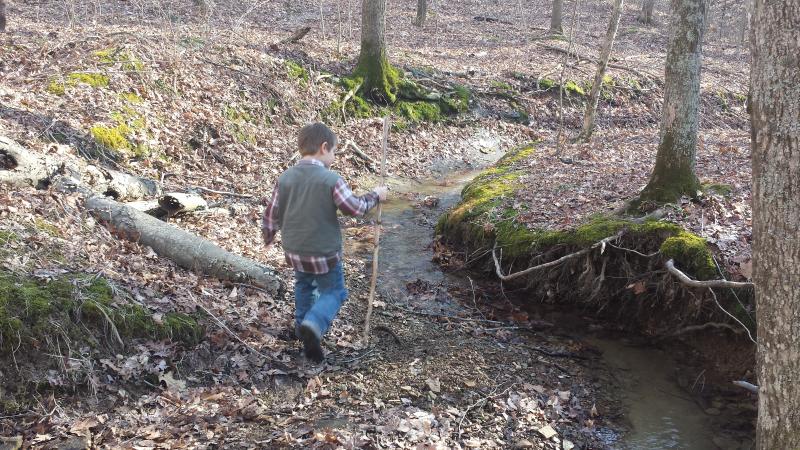 Hiking in Morgan-Monroe State Forest