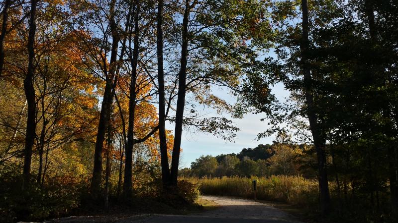 Burkhart Creek Trail