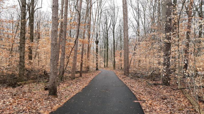 Enjoy the new paved trail at Morgan-Monroe State Forest.