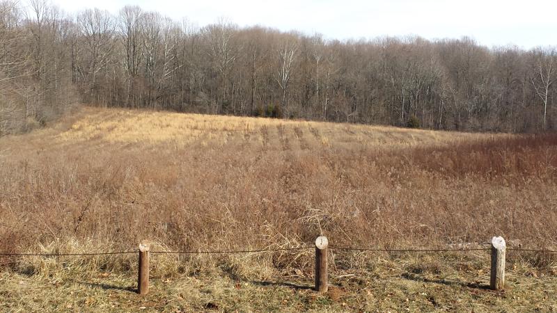 An open area of Ravinia Woods, located just across the road from Burkhart Creek Park.