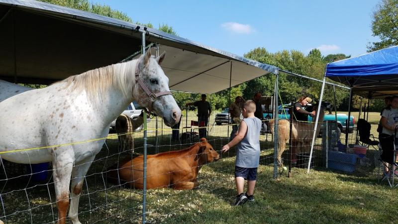 Meet the animals at the annual Old Town Waverly Park Festival.