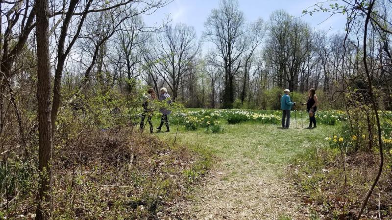 After parking, visitors walk a short path to reach the gardens.