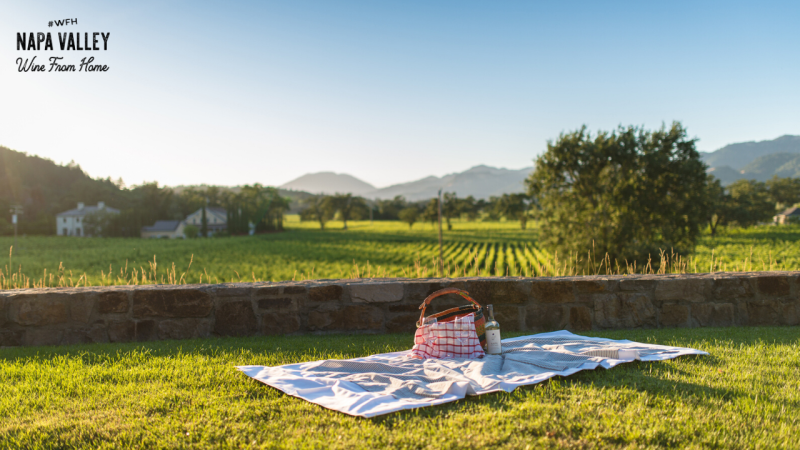 Picnic in the Vineyards Zoom Background