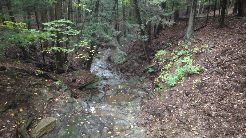 A photo of Rob's trail creek taken from above, staring down in the direction of the stream flow.