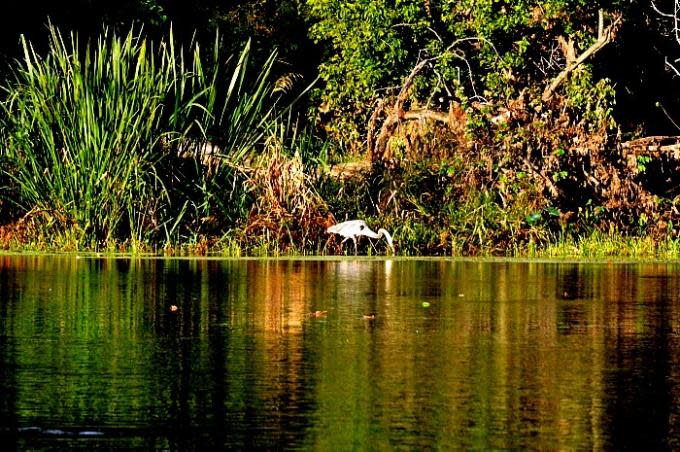 Colorado River Refuge