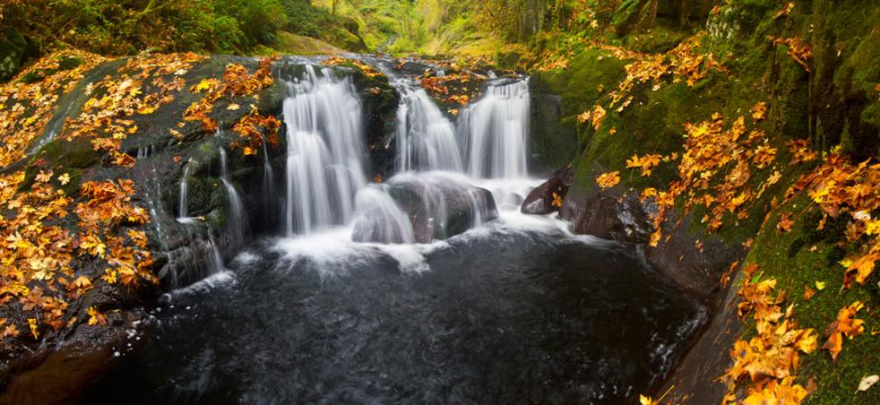 Sweet Creek Waterfalls Eugene Cascades Oregon Coast