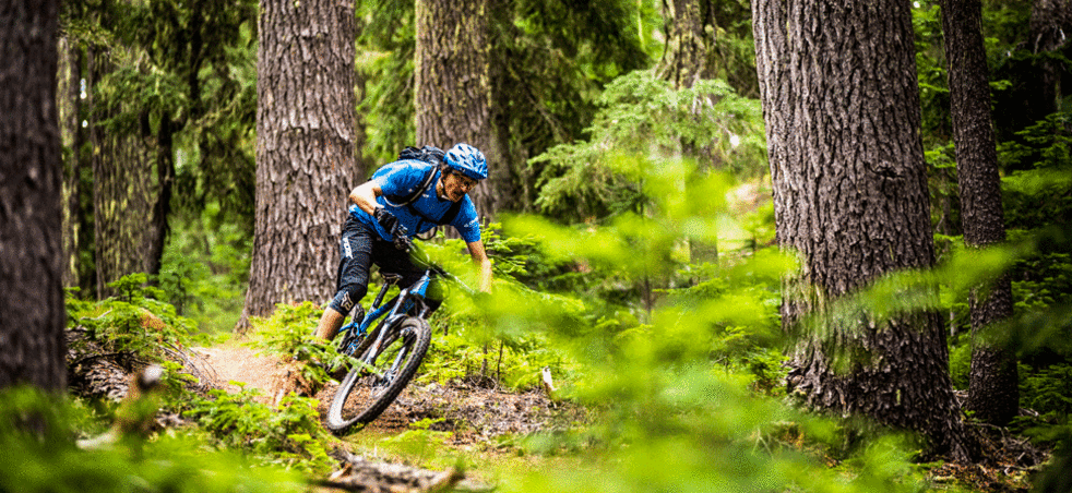 Go Oakridge Mountain Biking Eugene Cascades Oregon Coast