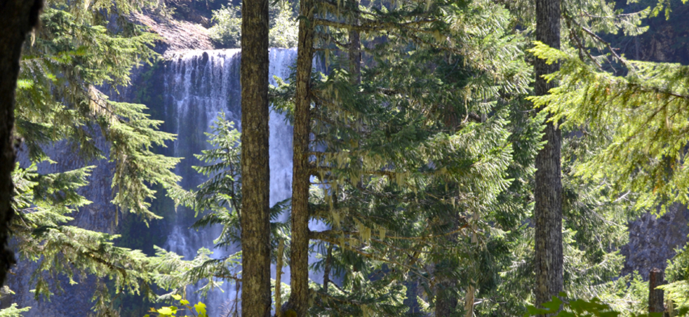 Salt Creek Falls Eugene Cascades Oregon Coast