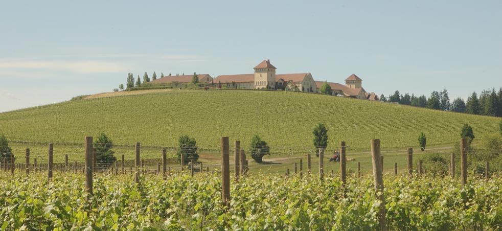 Wineries Tasting Rooms Eugene Cascades Oregon Coast