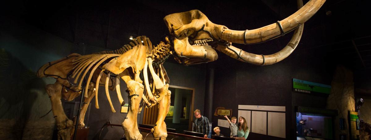 state-museum-pa-mastodon