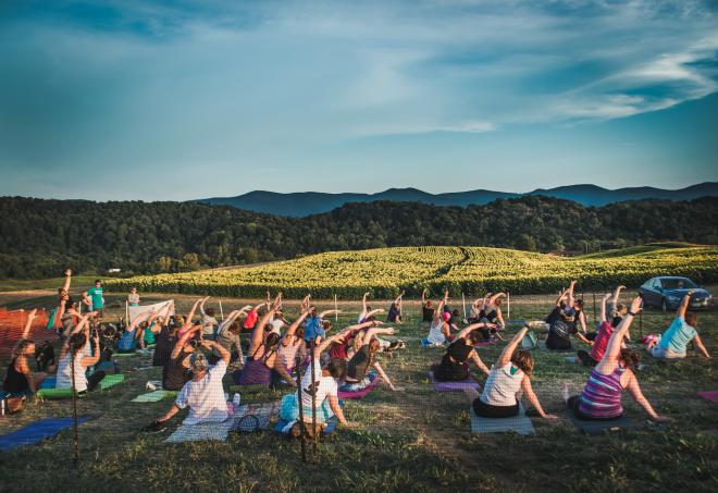 Sunflower Festival - Goat Yoga