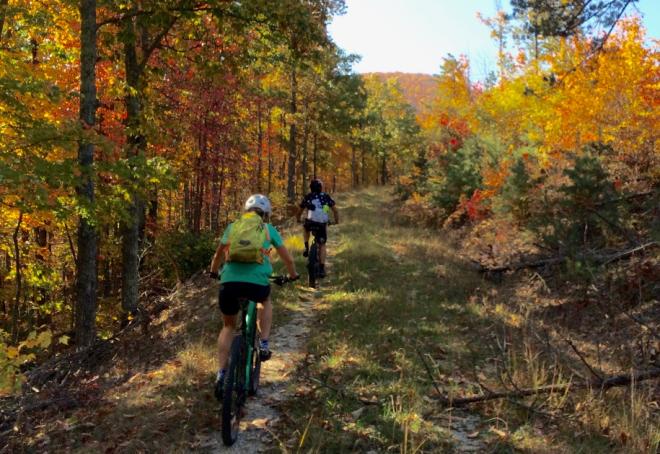 People Biking Down Glenwood Horse Trail In Roanoke, VA