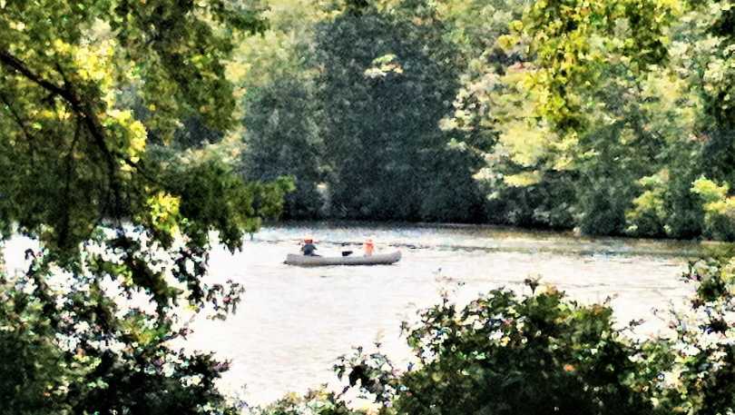 140-3-9546_9774eca1-8ab6-42b9-981e-4d594c05beee.jpg